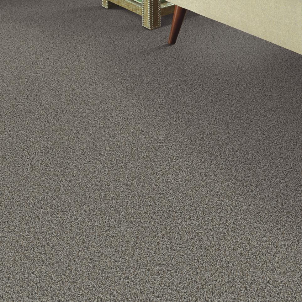 Texture Truffle Brown Carpet