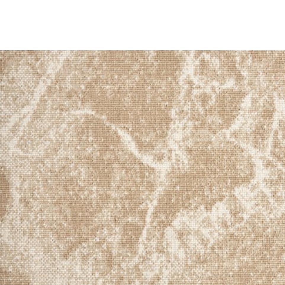 Pattern Sandstone Beige/Tan Carpet