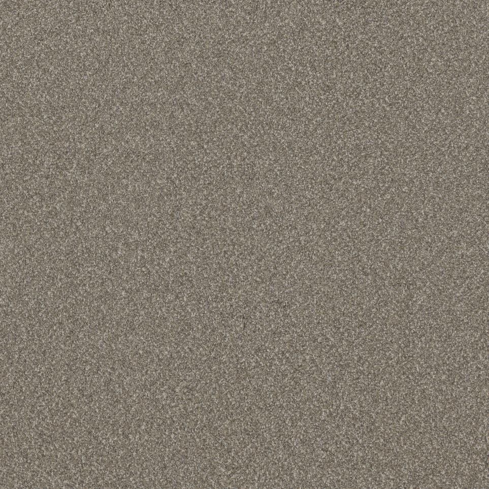 Texture Suite Beige/Tan Carpet