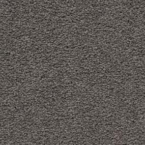 Textured Saxony Exquisite Gray Carpet