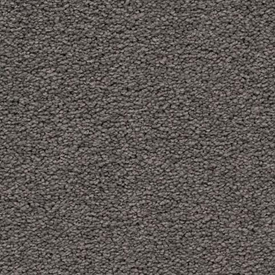 Textured Saxony Exquisite Gray Carpet