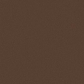 Texture Terracotta Brown Carpet