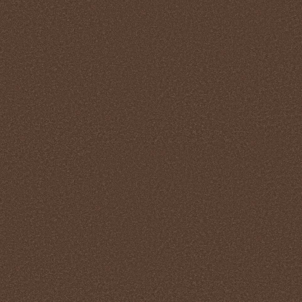 Texture Terracotta Brown Carpet