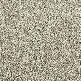 Textured Saxony Stardust Gray Carpet