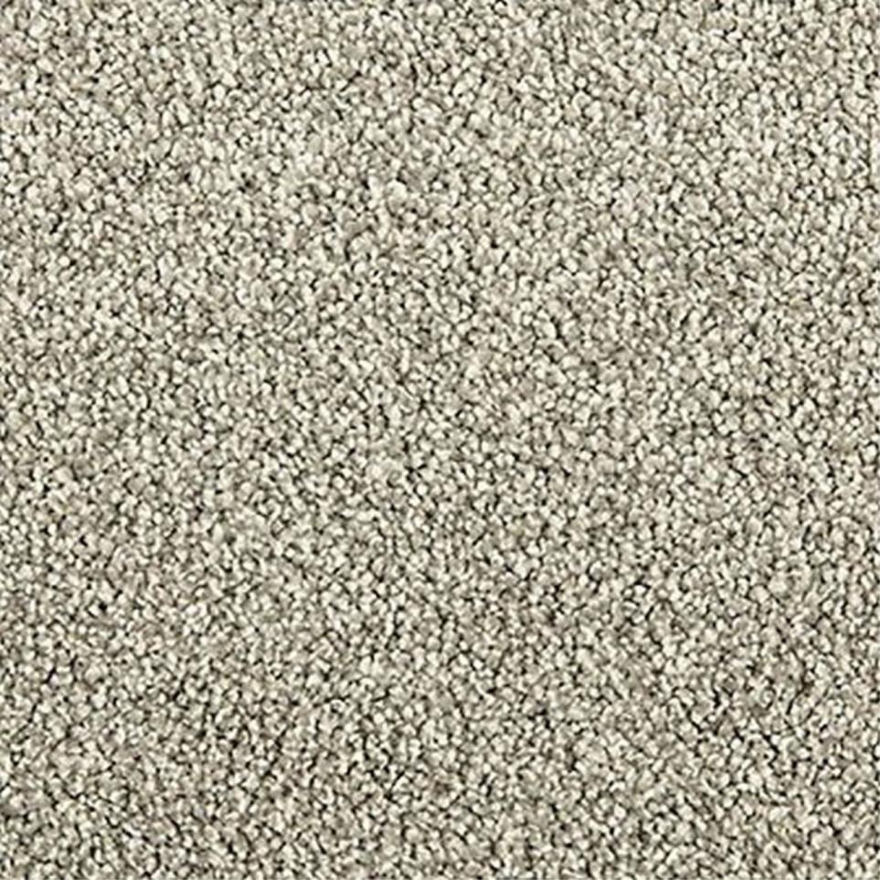 Textured Saxony Stardust Gray Carpet