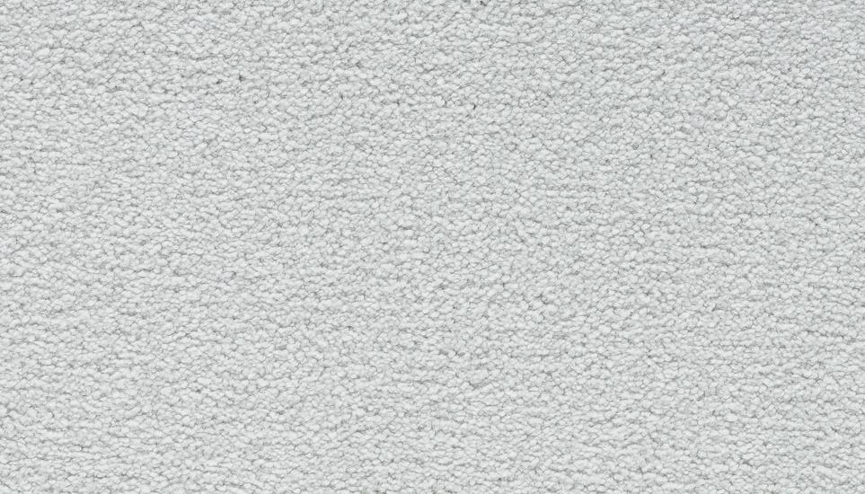 Textured Saxony Metro Gray Carpet