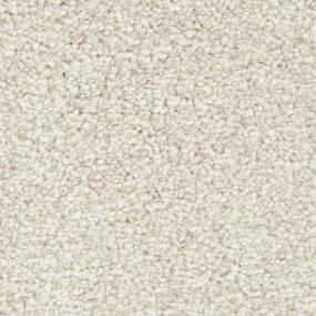 Textured Saxony Patience Beige/Tan Carpet