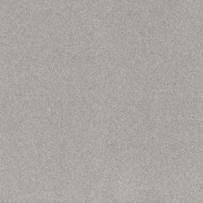 Textured Saxony Regency Court Gray Carpet