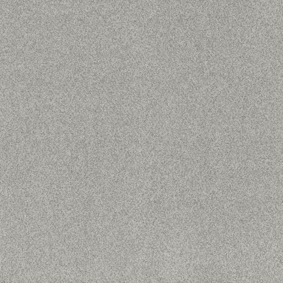Textured Saxony Regency Court Gray Carpet