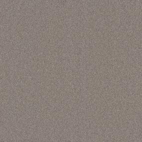 Textured Saxony Scooby Beige/Tan Carpet