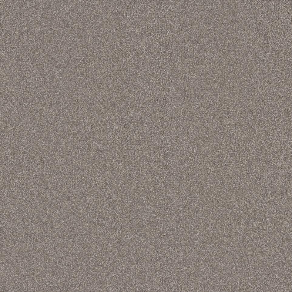 Textured Saxony Scooby Beige/Tan Carpet