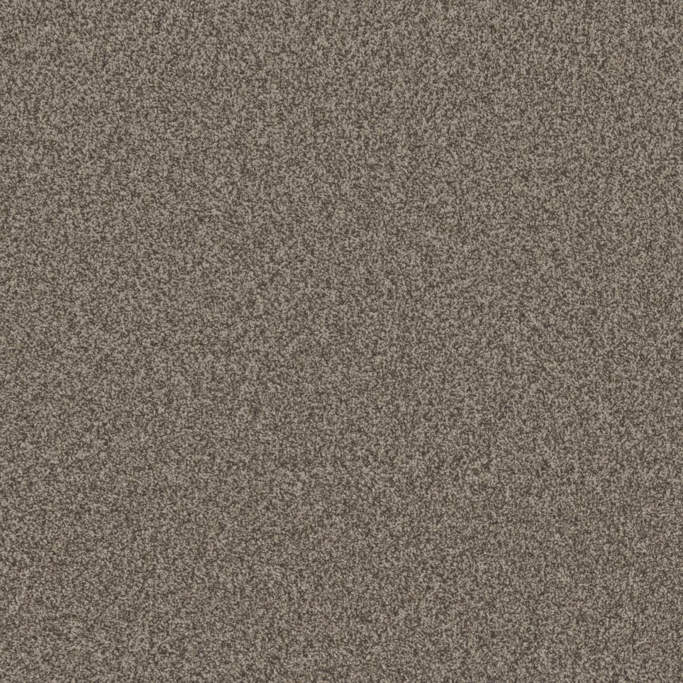 Textured Saxony Outsider Beige/Tan Carpet