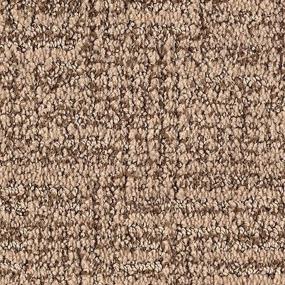 Pattern Driftwood Brown Carpet