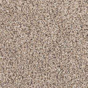Textured Saxony Driftwood Mist Brown Carpet