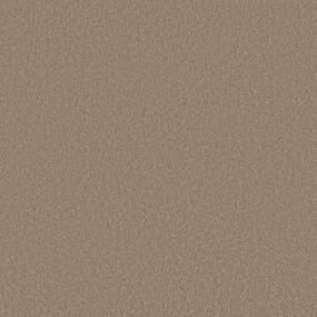 Texture Earthen Beige/Tan Carpet