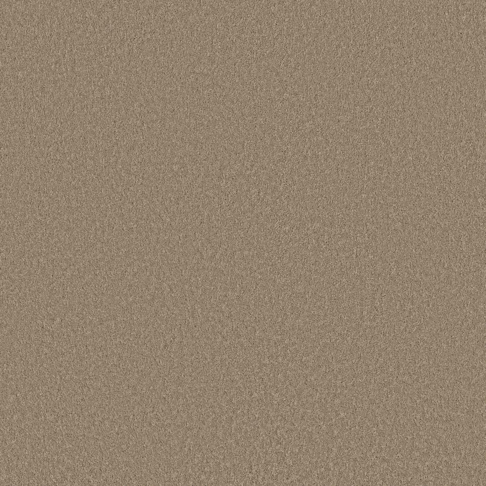 Texture Earthen Beige/Tan Carpet