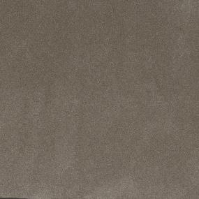 Textured Saxony Main Stay Beige/Tan Carpet