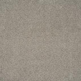Textured Saxony Grey Tweed Beige/Tan Carpet