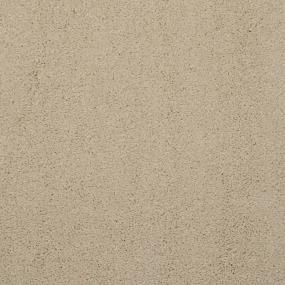 Casual Texture Coriander Beige/Tan Carpet