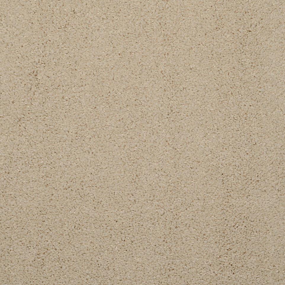 Casual Texture Coriander Beige/Tan Carpet