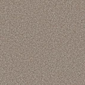 Textured Saxony Whimsical Brown Carpet