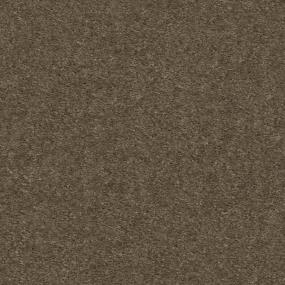 Textured Saxony Sweetwood Brown Carpet