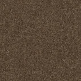 Textured Saxony Sweetwood Brown Carpet