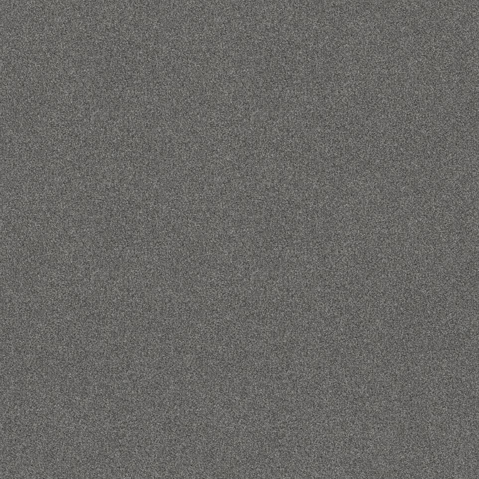 Plush Saxony Cold Steel Gray Carpet