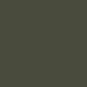 Textured Saxony Boxwood Green Carpet
