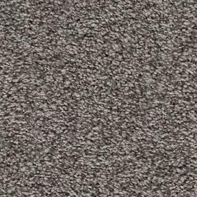 Textured Saxony Antique Beige/Tan Carpet