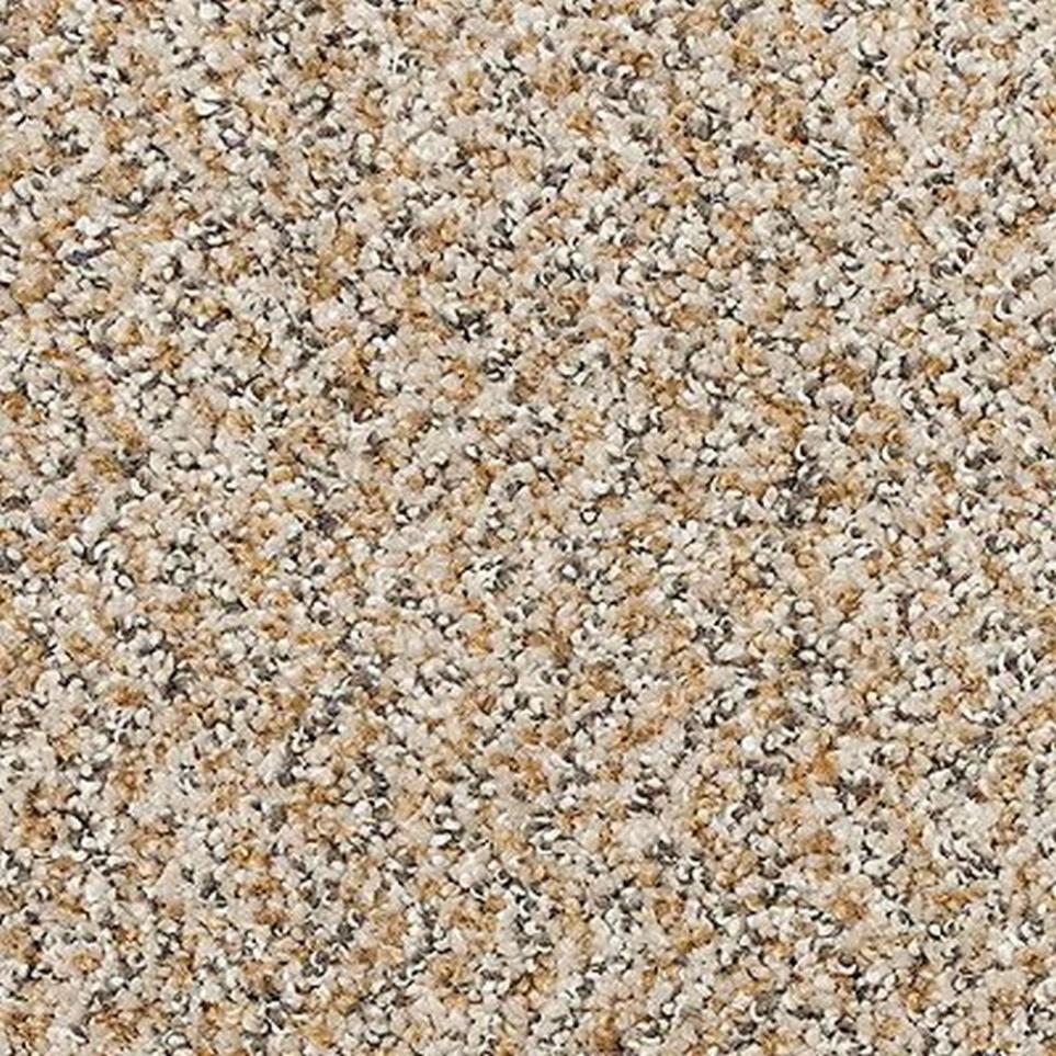 Textured Saxony Sonora Beige/Tan Carpet