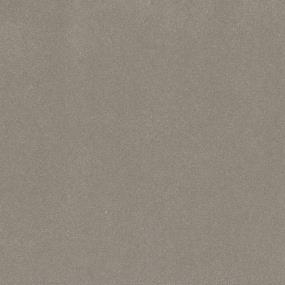 Textured Saxony Shady Day Beige/Tan Carpet