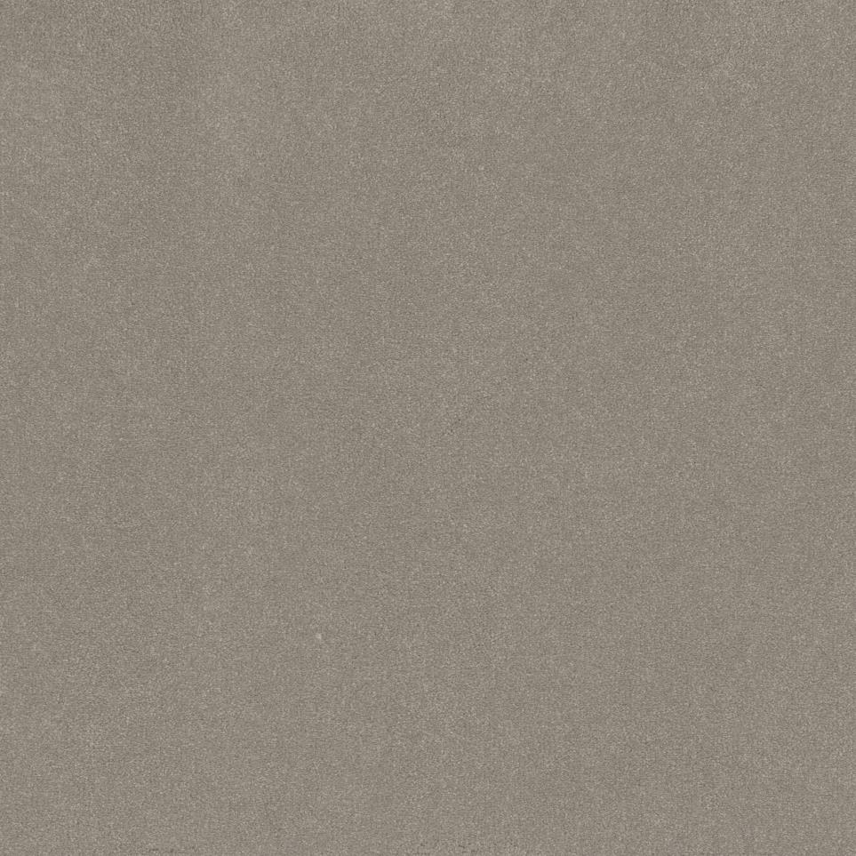 Textured Saxony Shady Day Beige/Tan Carpet
