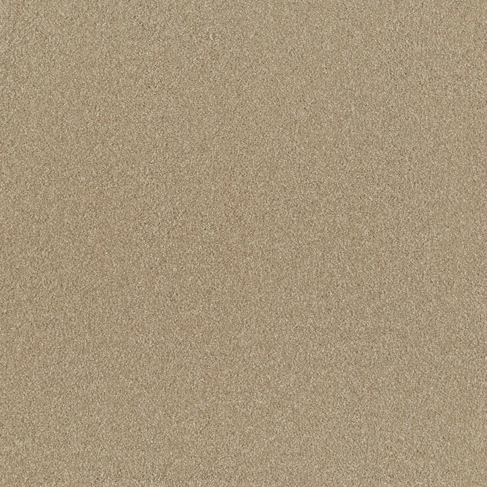 Texture Weathered Timber Beige/Tan Carpet