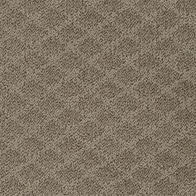 Pattern Museum Brown Carpet