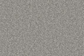 Loop Visionary Gray Carpet