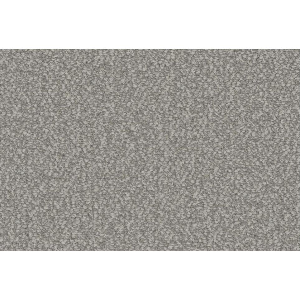 Loop Visionary Gray Carpet