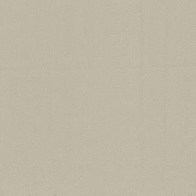 Casual Texture Sand Beige/Tan Carpet