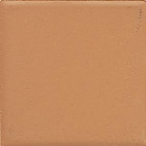 Pumpkin Spice Matte