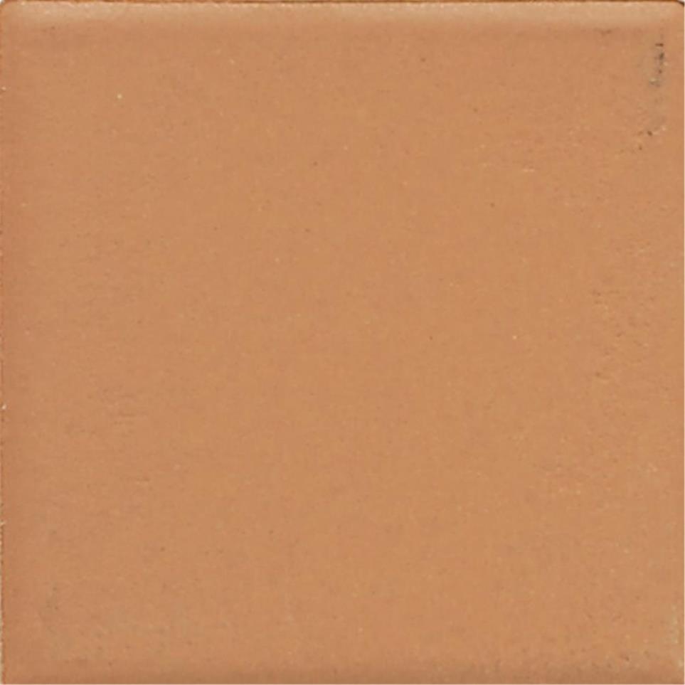 Mosaic Pumpkin Spice Matte Orange Tile