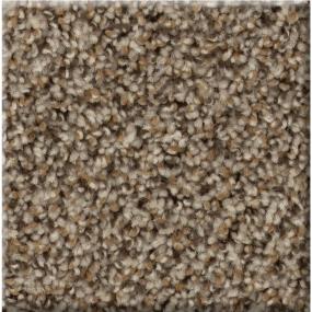 Texture Summer Wheat Brown Carpet
