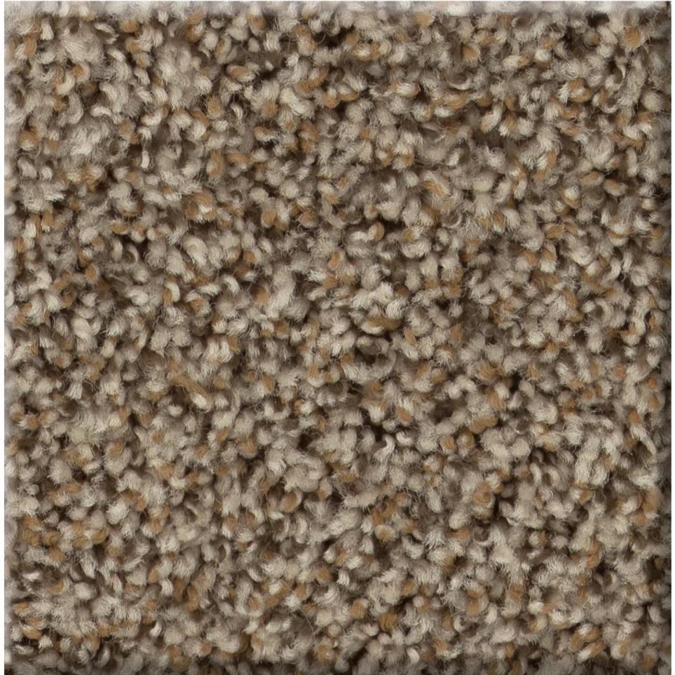 Texture Summer Wheat Brown Carpet