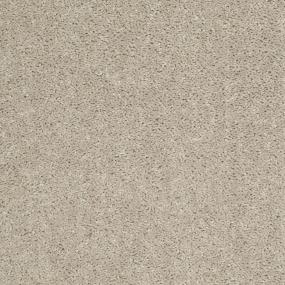 Textured Saxony Linen Tweed Beige/Tan Carpet
