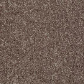 Texture Hickory Brown Carpet