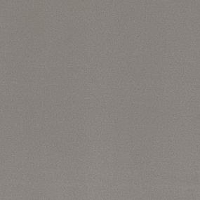 Textured Saxony Rememberance Gray Carpet