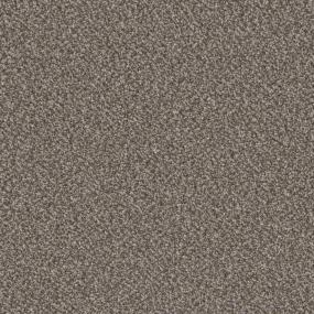 Textured Saxony Safari Brown Carpet