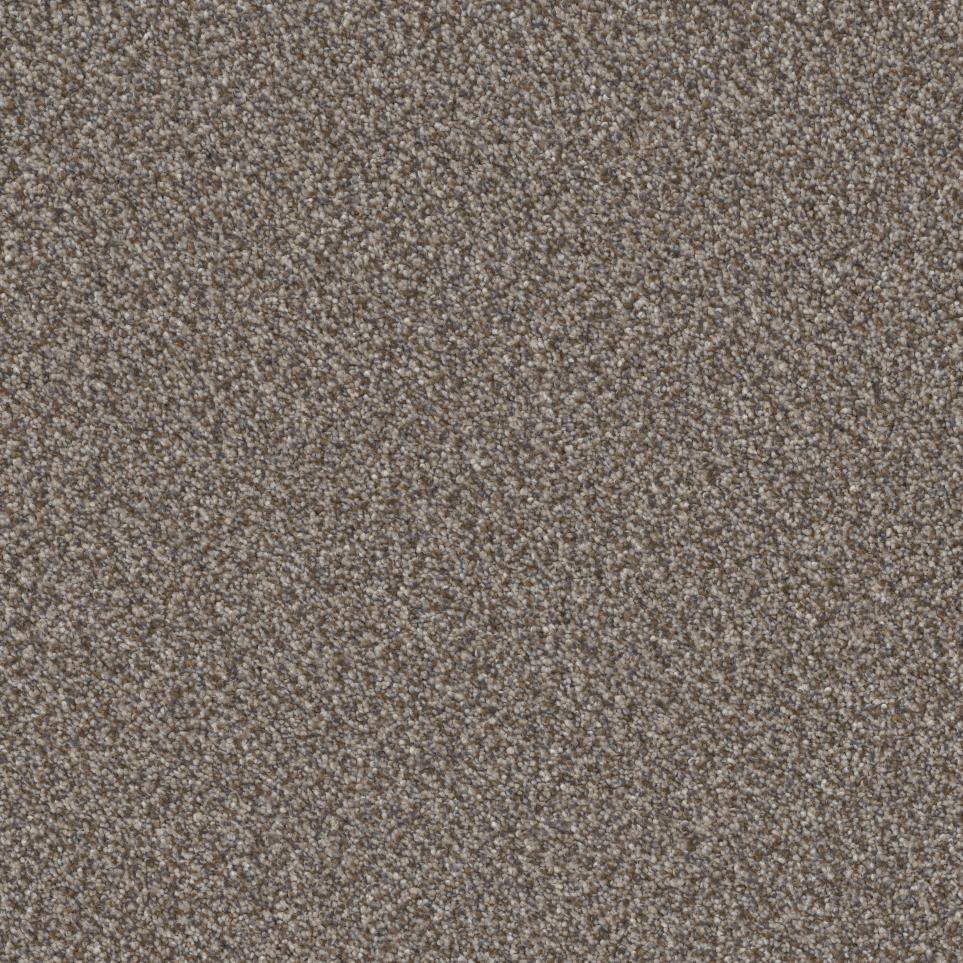 Texture Safari  Carpet