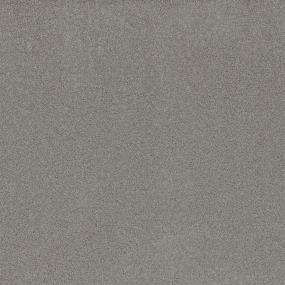Textured Saxony Alliance Beige/Tan Carpet