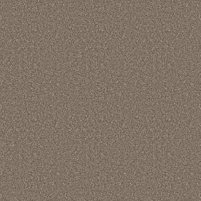 Textured Saxony Foyer Brown Carpet