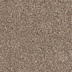 Textured Saxony Foyer Brown Carpet